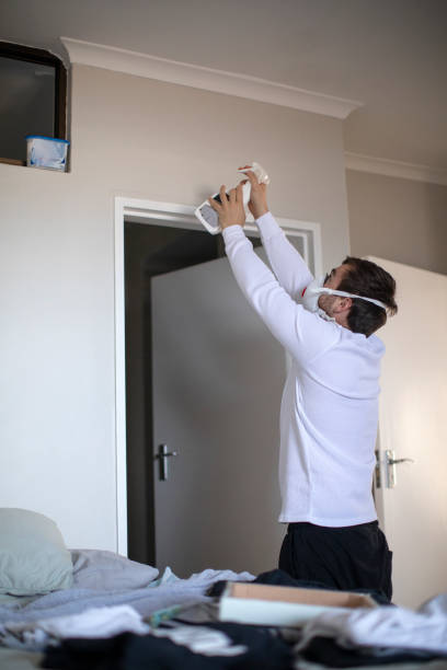 Best Emergency Mold Remediation  in Lakeland, TN