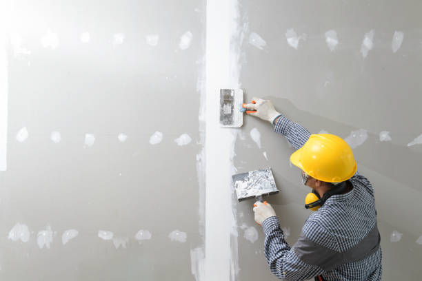 Best Air Quality Testing for Mold Spores  in Lakeland, TN