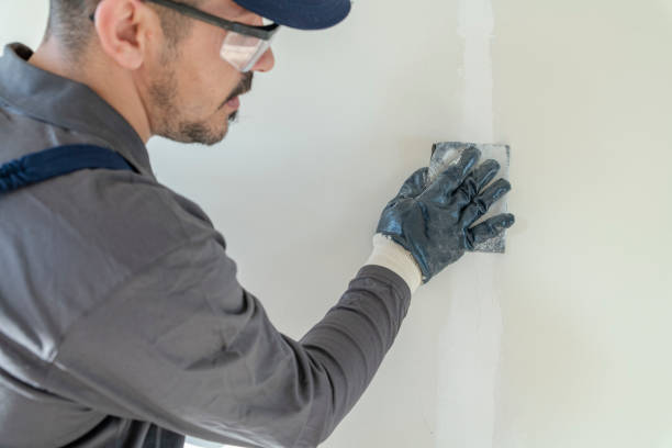 Best Residential Mold Inspection & Testing  in Lakeland, TN