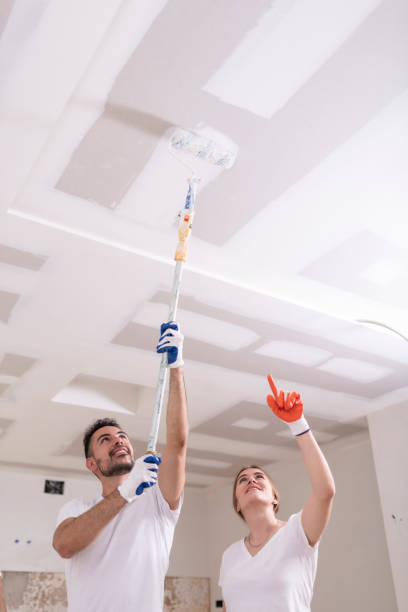 Best Emergency Mold Remediation  in Lakeland, TN