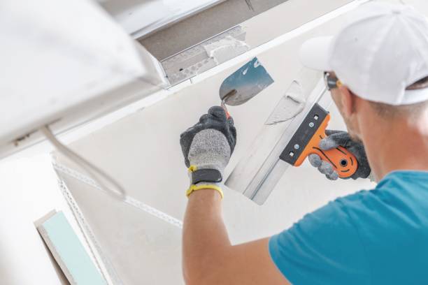 Best HVAC Mold Inspection and Cleaning  in Lakeland, TN